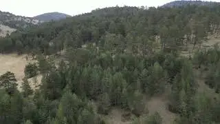 Prodaje se poljoprivredno zemlji&scaron;te 22895 m2, Draglica, Nova Varo&scaron;