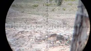 Leviathan a 94 metros, precis&atilde;o cir&uacute;rgica! Slug MA 22.20 gr
