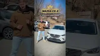 🌐Сайт  
