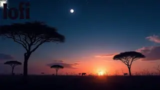 Lofi While The Sky Burns Softly Over Endless Grasslands