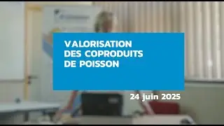 Coproduits de poissons : m&eacute;thodologie de collecte et identification des freins par V. Bonnier, IDmer