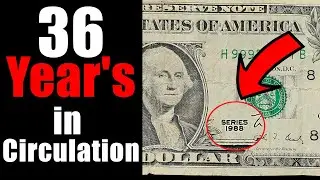 We Found This Still in Circulation! Currency Hunting!
