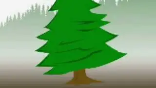 Zidaho Doug Fir
