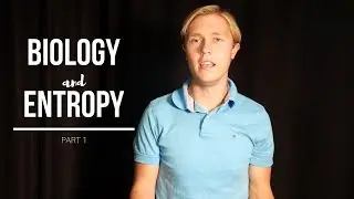 Biology and Entropy: Part 1 | CuriousContent