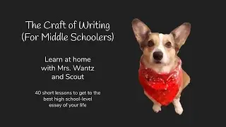 Lesson 5: Reviewing the Four Sentences Middle Schoolers Should Know