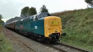 DELTIC DELIGHT WITH CLAG DRESSING