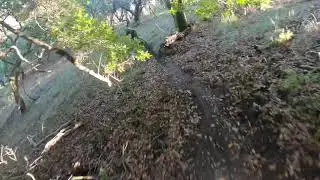 Riding Marin with Mark Weir