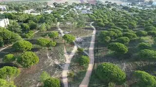 Praia da Fal&eacute;sia / Algarve Motorhome Park Fal&eacute;sia