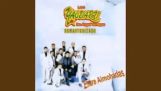 Amor Sin Primavera