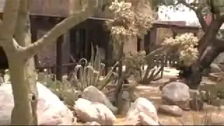 Canyon Ranch - Best Wellness Retreat - Arizona 2009