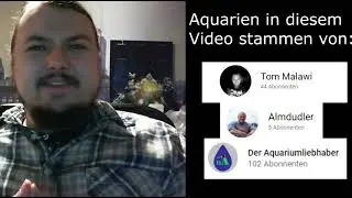 Eure Aquarien #2 - Schlafzimmeraquarium, virtuelles Aquarium, Skalare, Schwerttr&auml;ger und mehr