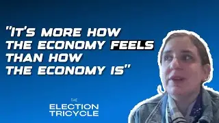 Is voter perception of the economy based on statistics or 'vibes'?