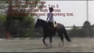 INTERDRESSAGE in Nurtural Bitless: Morgan on Dinamite May 2010