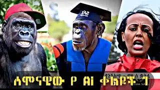 Tik Tok Ethiopian Funny Videos Compilation |Tik Tok Habesha Funny Vine Video compilation #47