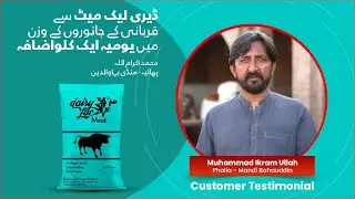 Muhammad Ikram Ullah - Mandi Bahauddin