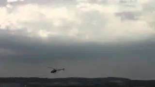 T-REX 600EFL PRO, Pilot: Thorsten H&ouml;lters von rc-heli-service.de