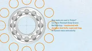 Timken Deep Groove Ball Bearings with FDA/EC Approved Seals
