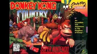 Donkey Kong Country SNES - Gameplay Lucas