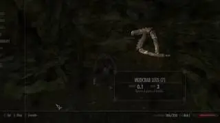 Skyrim SE Darkshade Cave
