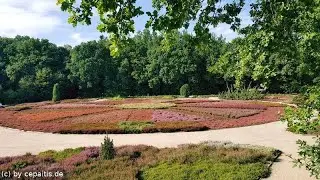 Schneverdingen ...  in der Heide