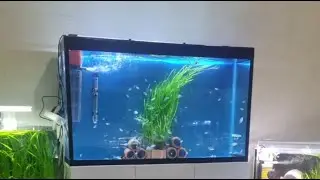 بدأت قناة 
