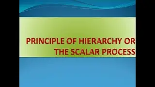 PRINCIPLE OF HIERARCHY OR THE SCALAR PROCESS