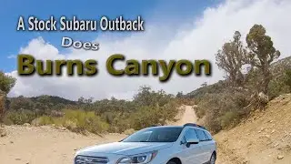 A Stock Subaru Outback Does Burns Canyon Road