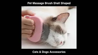 Pet Massage Brush Shell Shaped Grooming Massage Tool To Remove Hair | Cats & Dogs Accessories