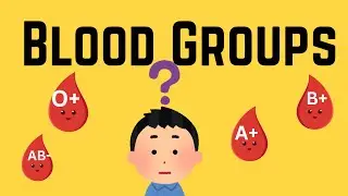 What are Blood groups| Blood types| how many blood groups are there|All about blood groups|#viral