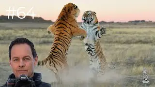 Marsel Van Oosten | Wildlife Photography Mastery & How To Take A Photo People Care About