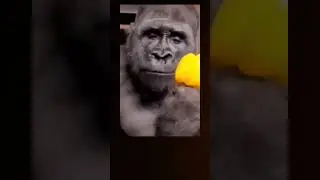 #viralvideo #shortvideo #single #people