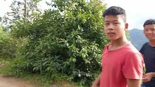 mini vlog to gaulu jiwan