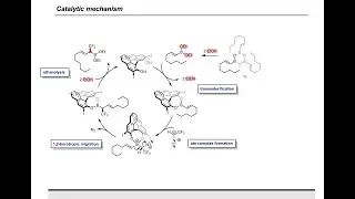 Synthesis Workshop: Asymmetric Synthesis with Allylboronic Acids with Sybrand Jonker (Episode 44)