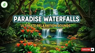 Soothing Water Falling from Rock | Peaceful Nature Sounds