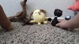 Dog cat rabbit 🐕 🐈 🐇 in season 1 episode 4 predator cove