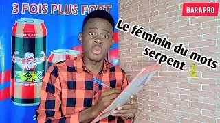 Le f&eacute;minin du mots serpent 🐍