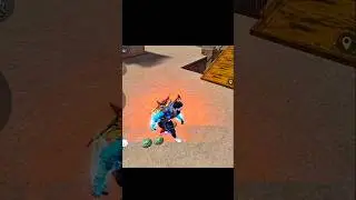 #banku