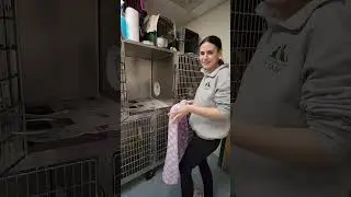 APCSM Cat Kennel Cleaning Procedure
