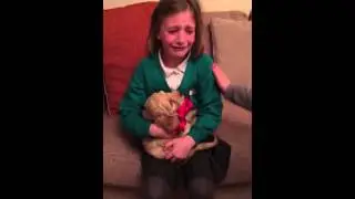 New Puppy Christmas Magic 🎄🌟🎄