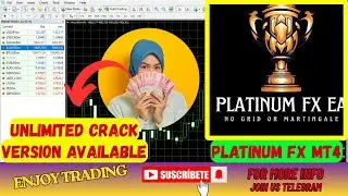 Platinum FX EA MT4 | Rule-Based Trading Logic | Professional Trading | No DLL | Best Forex EA 2026|