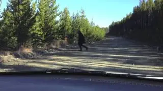 Sasquatch Provincial Park