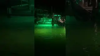 Too many fish to count on these dock lights!!! #docklights #snook #redfish #nightfishing #nlbn #fyp