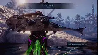 Warframe Gatherer Challenge - Tralok 40kg