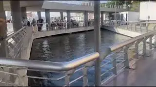 Let's take a walk and explore the Nile river