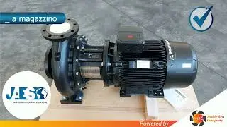 GRUNDFOS 98813111 (INSTOCK) ELECTRIC PUMP - ELETTROPOMPA - BOMBA EL&Eacute;CTRICA