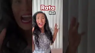 Discover Spanish Language Trivia! Fun Facts about Spanish Words | Language with Yoli