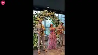 Sunbirds live quartet wedding entertainment in France