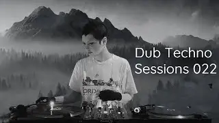 Dub Techno Sessions 022 [Insectorama, Hello Strange, Hypnus, Deepindub , Apnea Label]