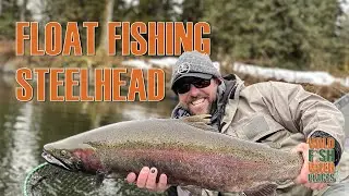 Steelhead float fishing