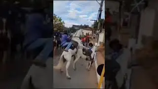 Cavalo Inteiro na Cavalgada 🤣... Deu ruim 🤣...